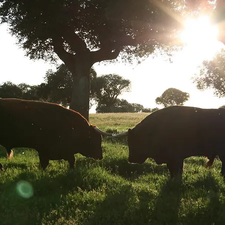 منزل ريفي La Cuadraa Linares de Riofrío