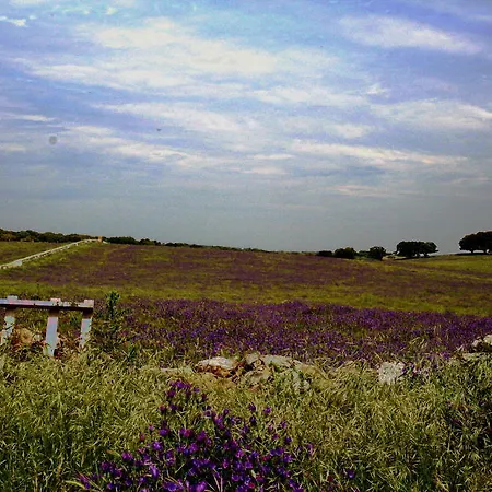 La Cuadraa