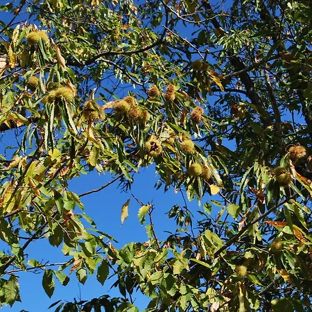 컨트리하우스 La Cuadraa