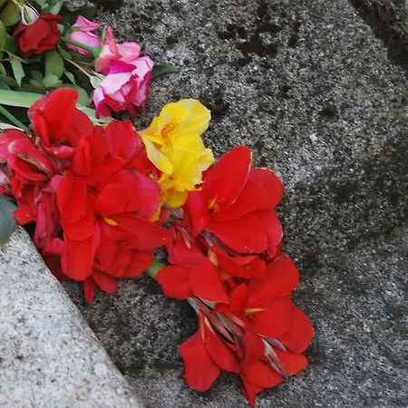 La Cuadraa Linares de Riofrío