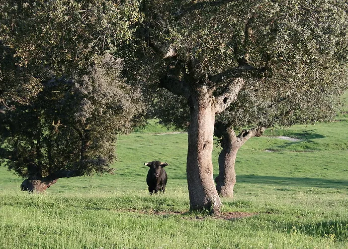 Εξοχικό σπίτι La Cuadraa Linares de Riofrío