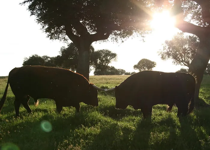 Εξοχικό σπίτι La Cuadraa Linares de Riofrío