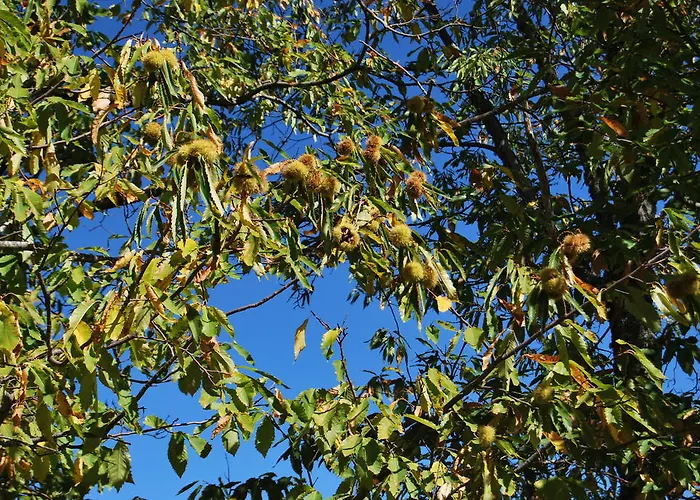 Εξοχικό σπίτι La Cuadraa